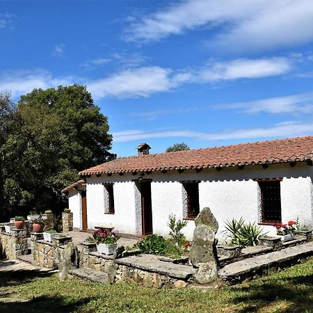 B&B I Menhir Sorgono Exterior foto