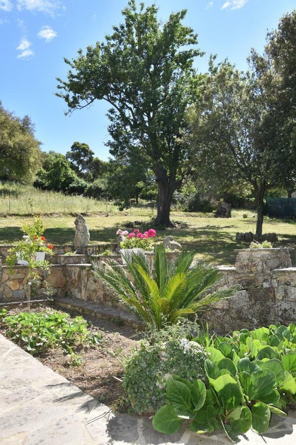 B&B I Menhir Sorgono Exterior foto